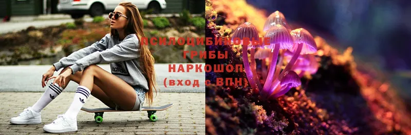 Псилоцибиновые грибы MAGIC MUSHROOMS  Новоалтайск 